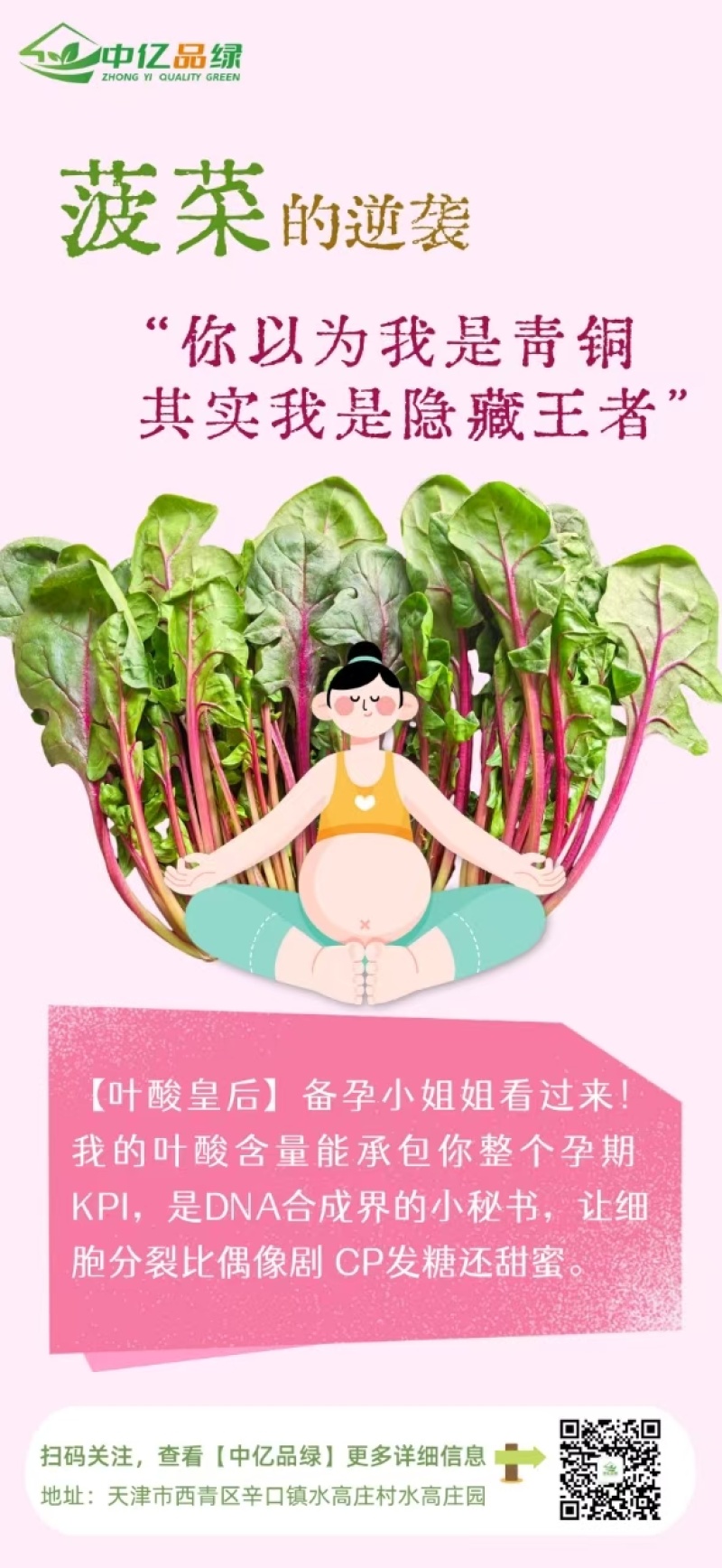 【实力】天津红小波小叶菠菜货源充足，量大从优可视频看货