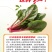 【实力】天津红小波小叶菠菜货源充足，量大从优可视频看货