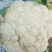 青梗松花菜乳白色商品性强批发商采购商