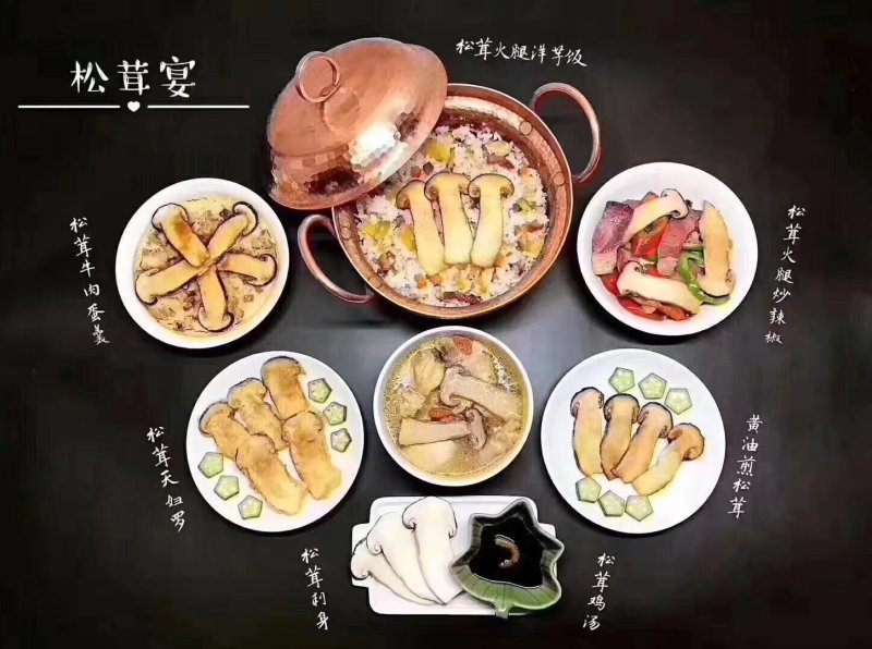 2026年新鲜松茸8月份发货产地批发