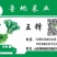 曹县产地直供小白菜，常年供应