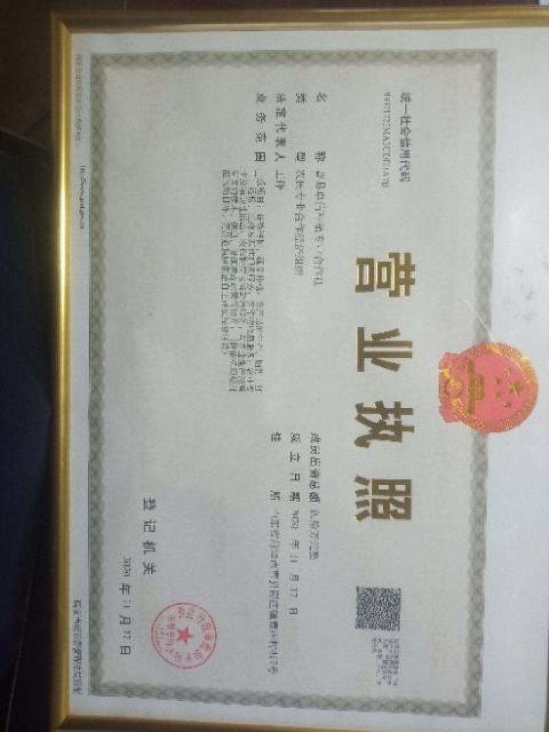 曹县产地直供小白菜，常年供应