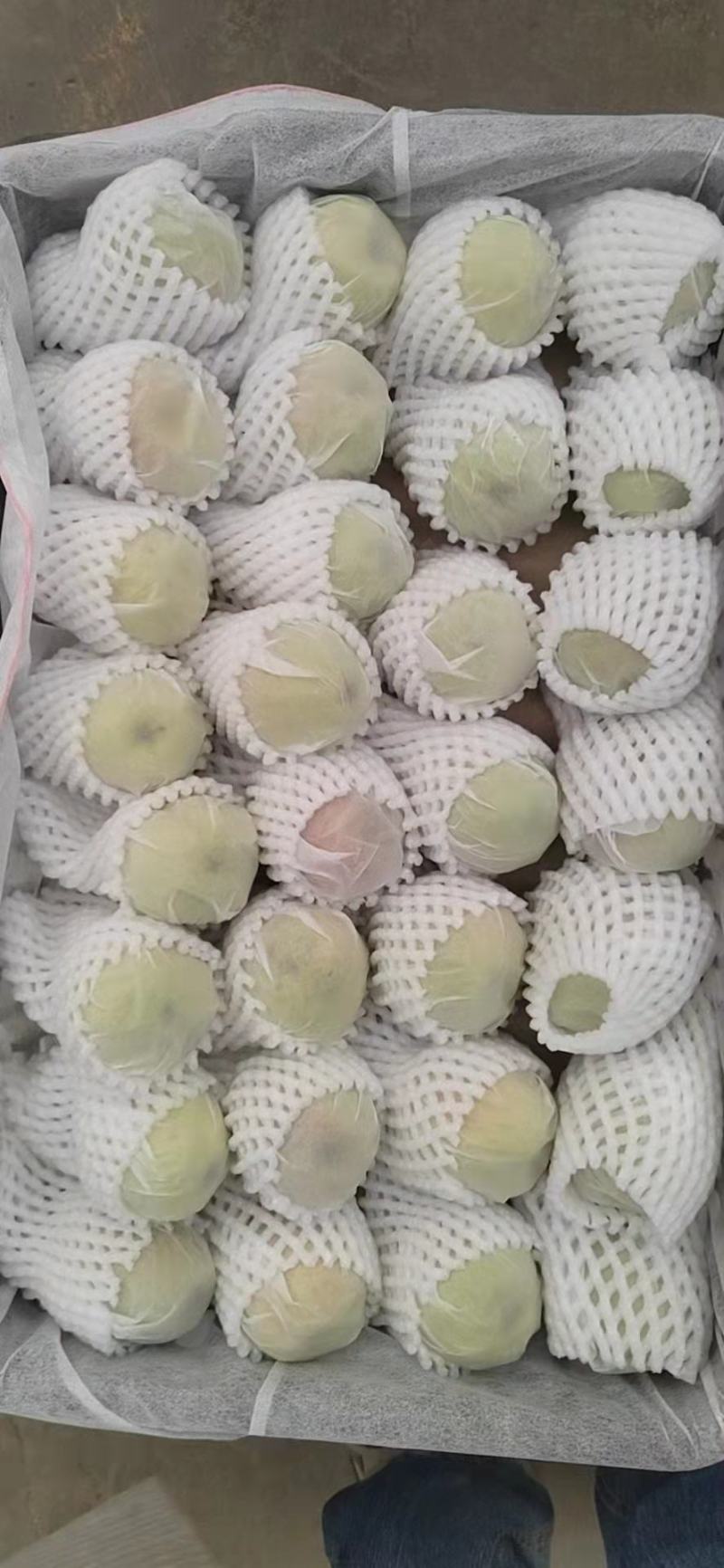 库尔勒香梨