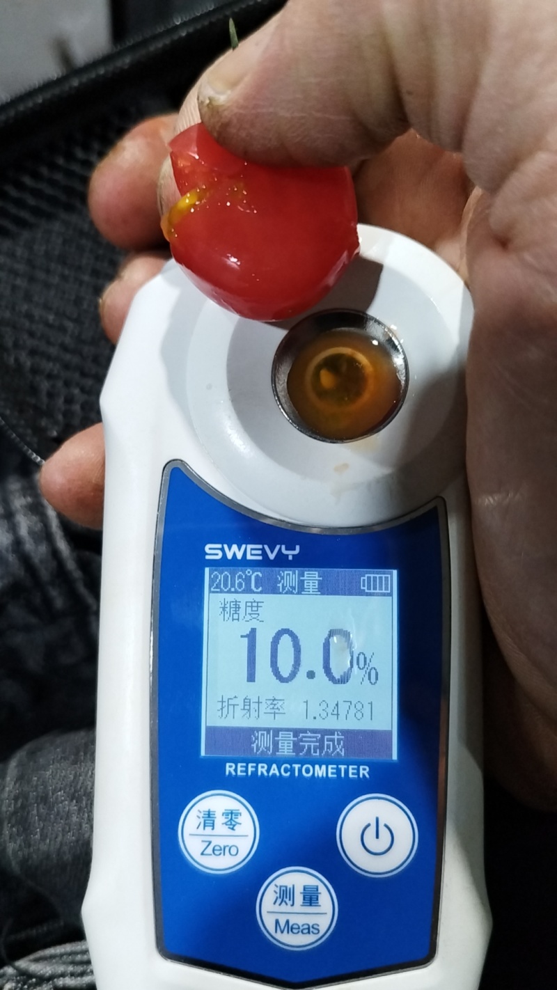 千禧小番茄，广东汕头，价格便宜，配备大选果机和冷库