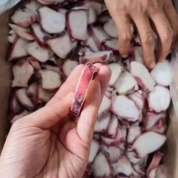 量大从优章鱼现货秒发物流包邮
