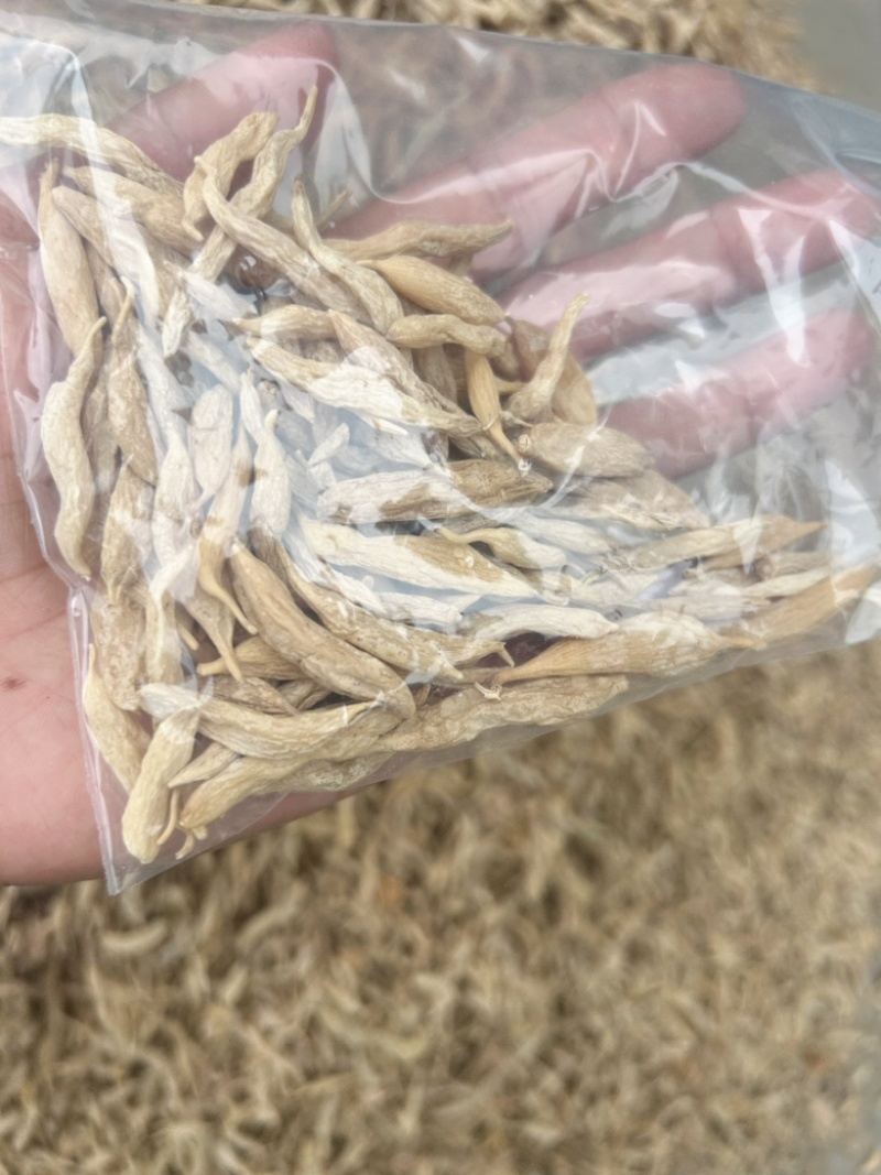 自产自销麦冬规格齐全随时发货健康之选