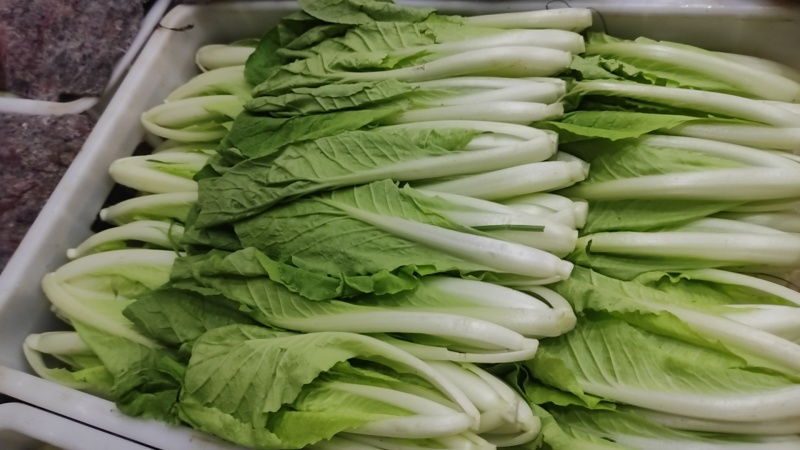 精品小中大颗小白菜，上海青，可供商超，量大从优。