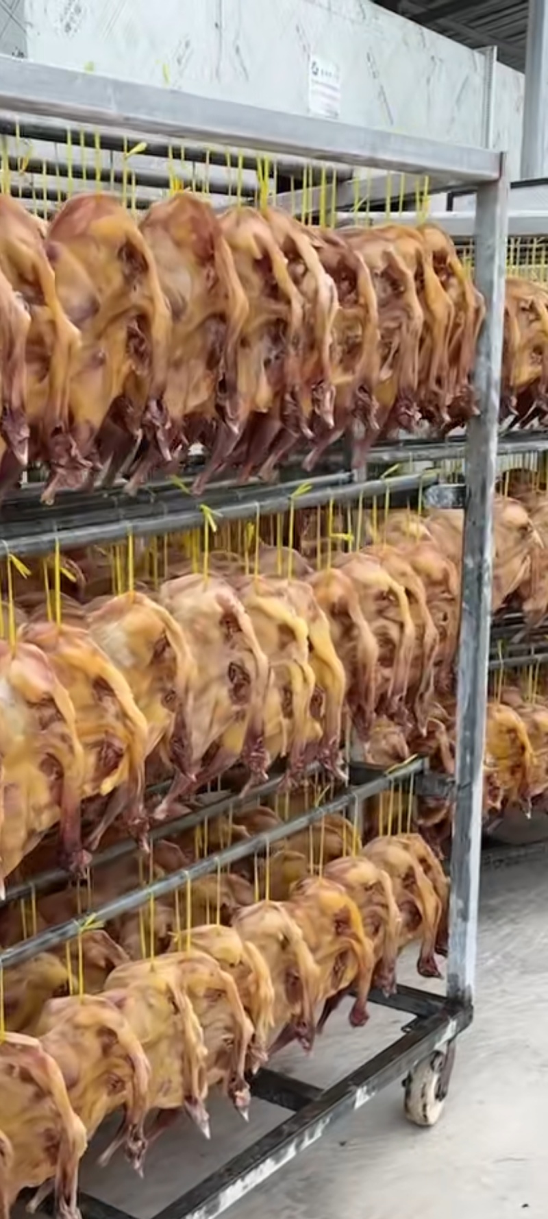 风干鸡腊鸡每只干后一斤半左右荆州特产荆楚风味