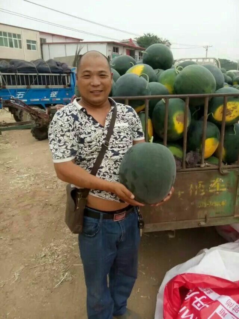 正品保障西瓜全国包邮