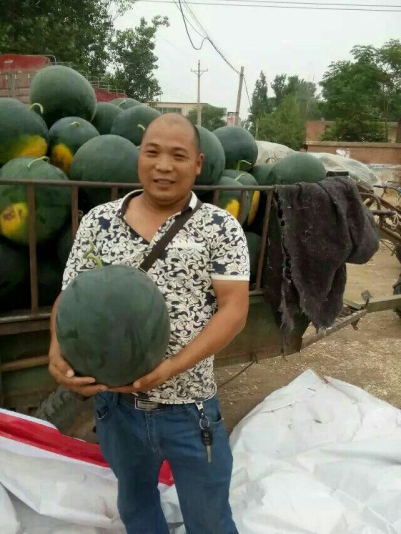 正品保障西瓜全国包邮