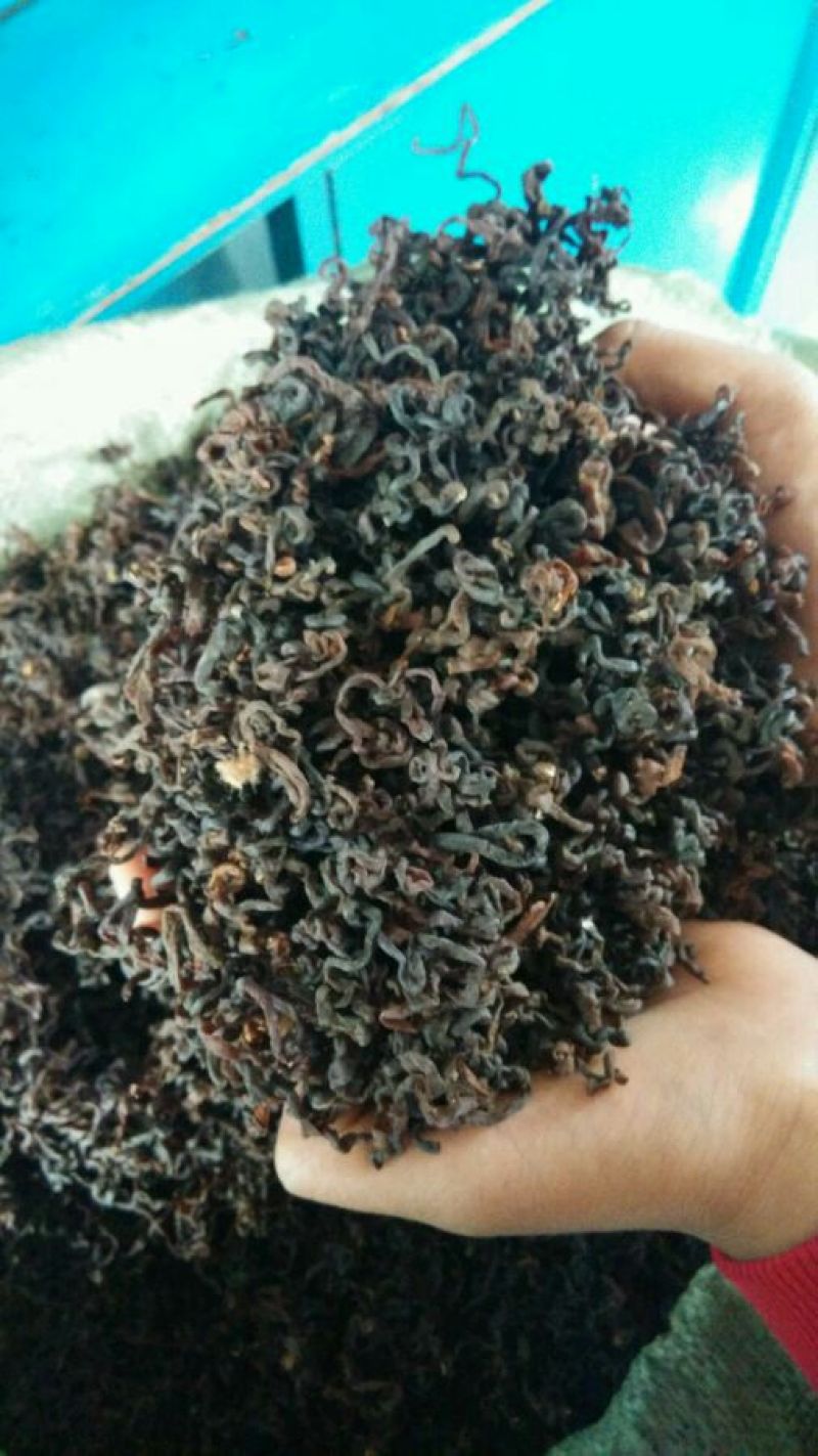 产地直发正宗薇菜，全网***