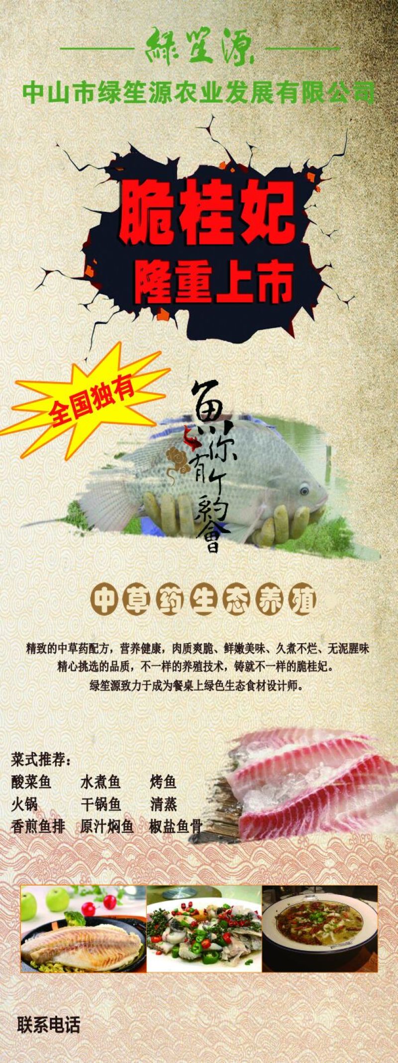 罗非鱼冻鱼