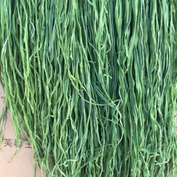 正宗贡菜长期有货诚信经营