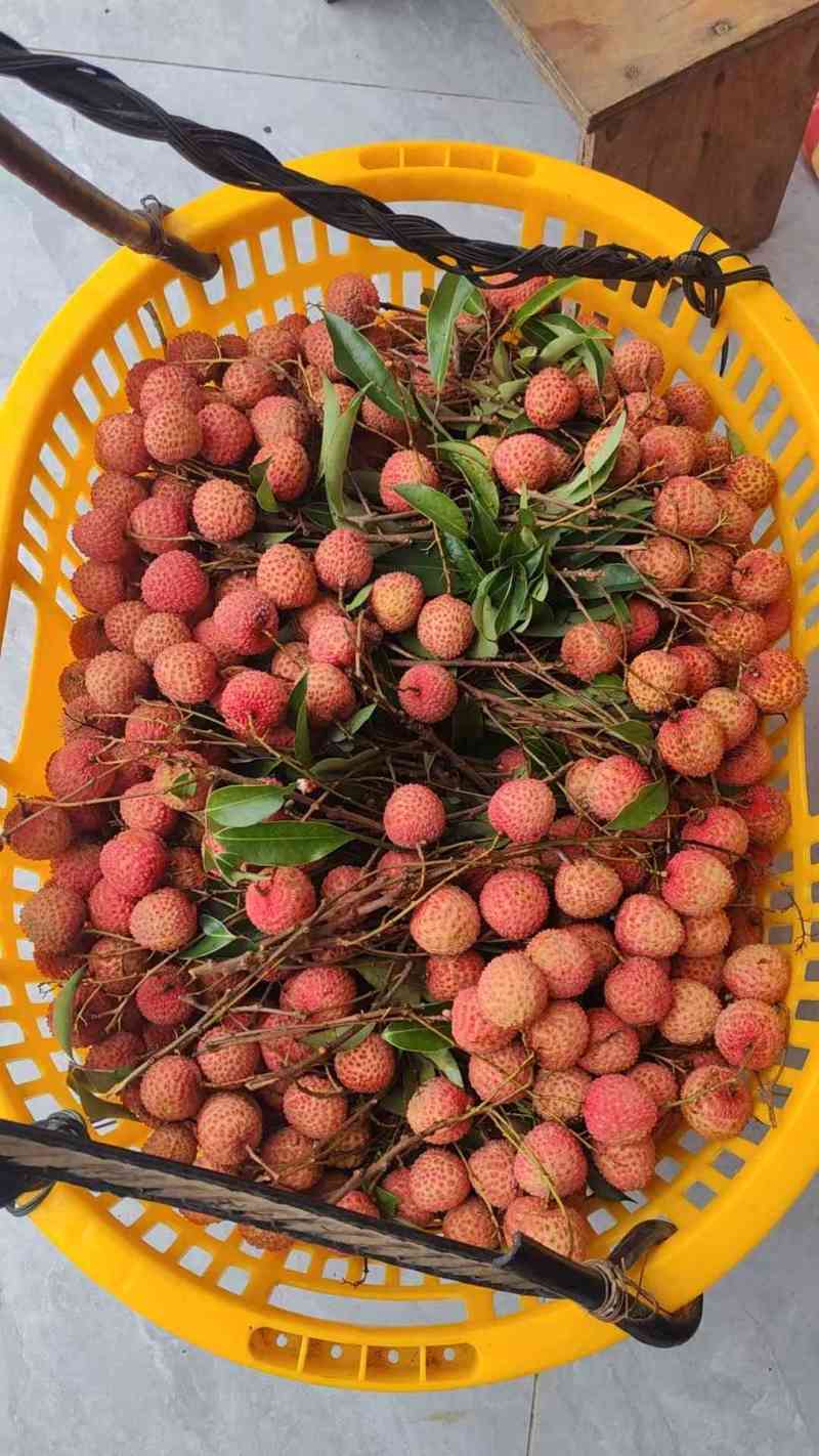 荔枝