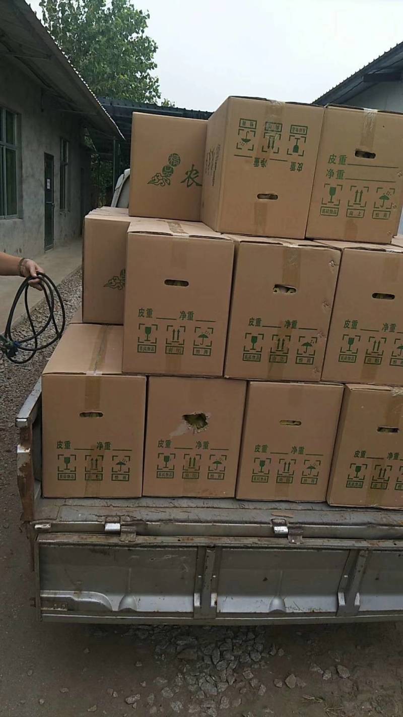 长沙直发全国各地，精品土鸡蛋粉6粉8新杨黑