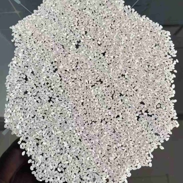 23年一级珍珠米