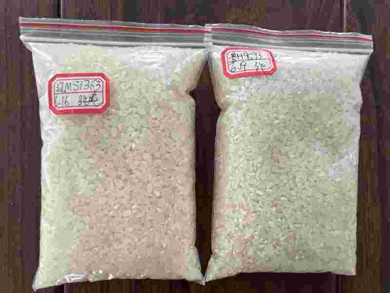 23年一级珍珠米