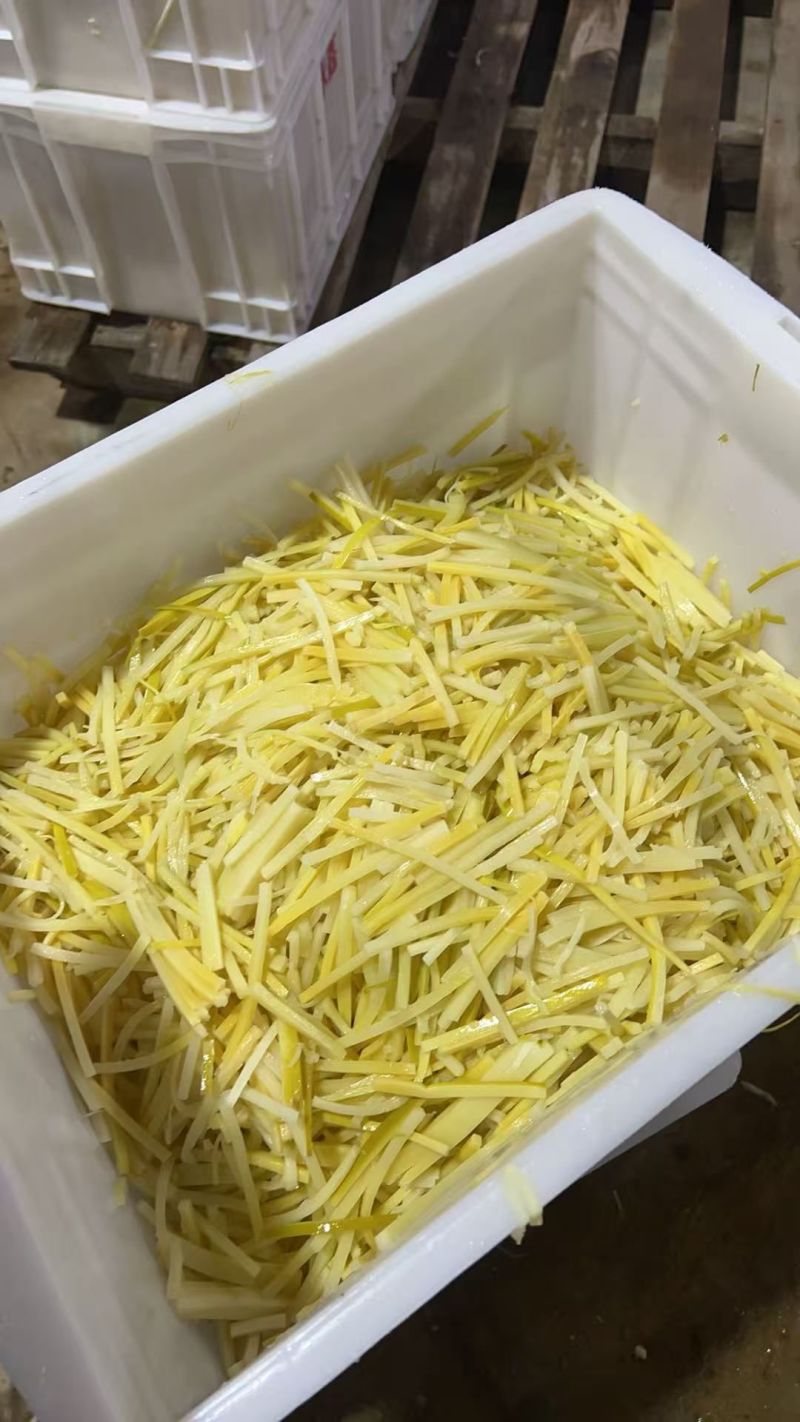 清水笋丝一手货源，有量有价量大从优欢迎来电合作