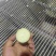 清水笋丝一手货源，有量有价量大从优欢迎来电合作