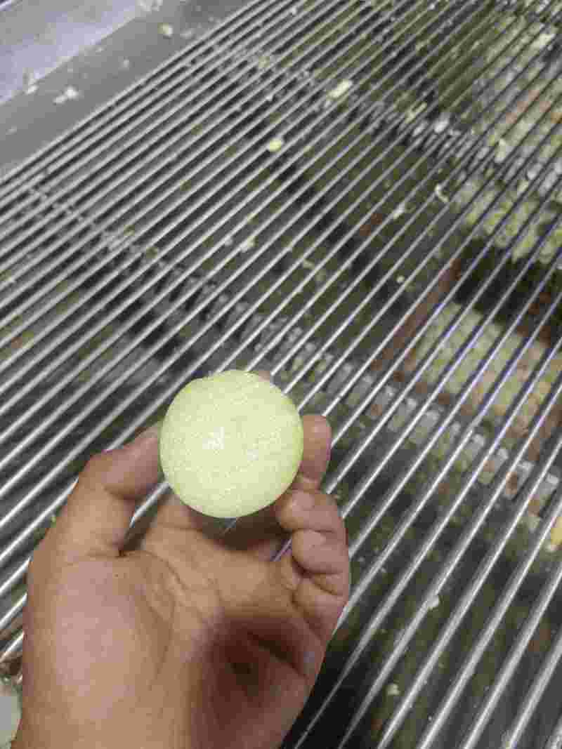 清水笋丝一手货源，有量有价量大从优欢迎来电合作