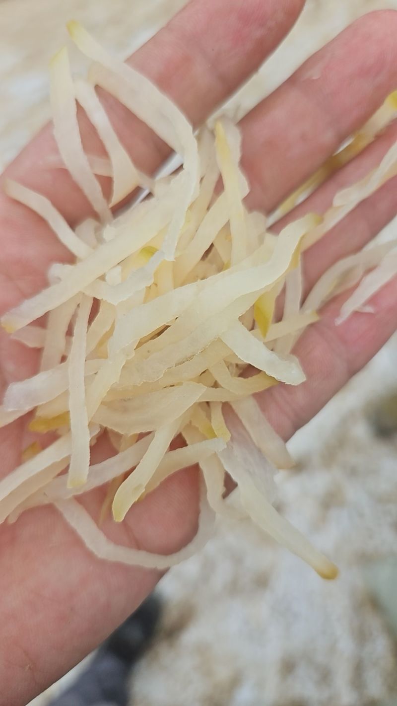 优质芥菜丝，各种包装