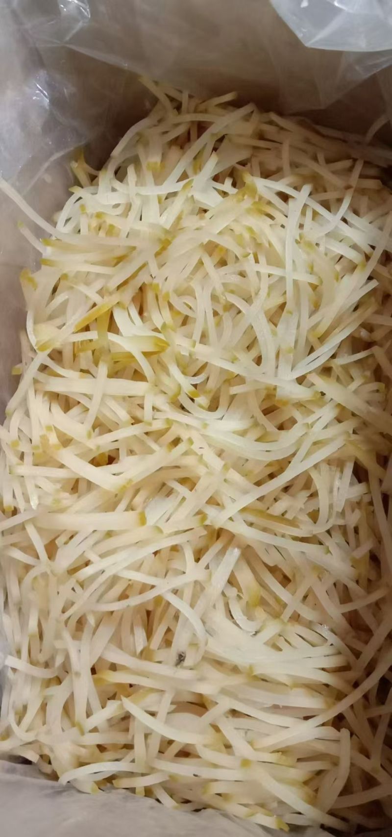 优质芥菜丝，各种包装