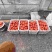 硬粉西红柿
