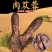 内蒙古阿拉善肉苁蓉