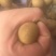 龙眼，储粮，自家种的，纯农村人，不作假。可挑精果。
