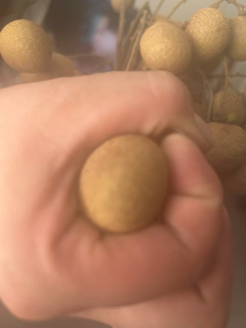 龙眼，储粮，自家种的，纯农村人，不作假。可挑精果。