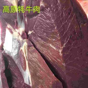 四川高原牛肉