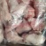 鸡副产品（鸡翅根）