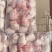 鸡翅中