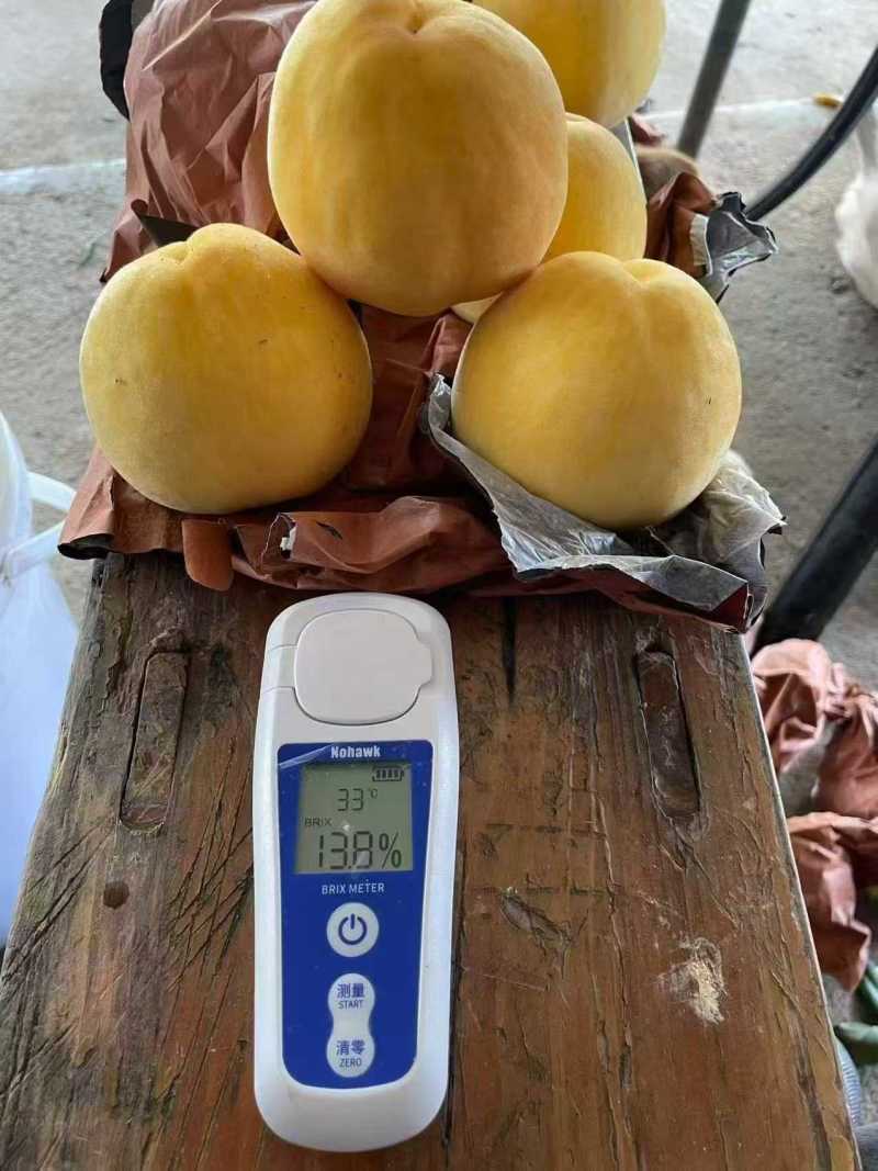 锦绣黄桃