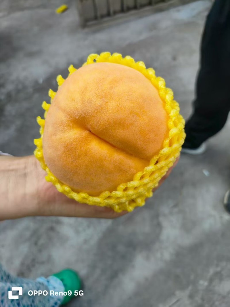 锦绣黄桃