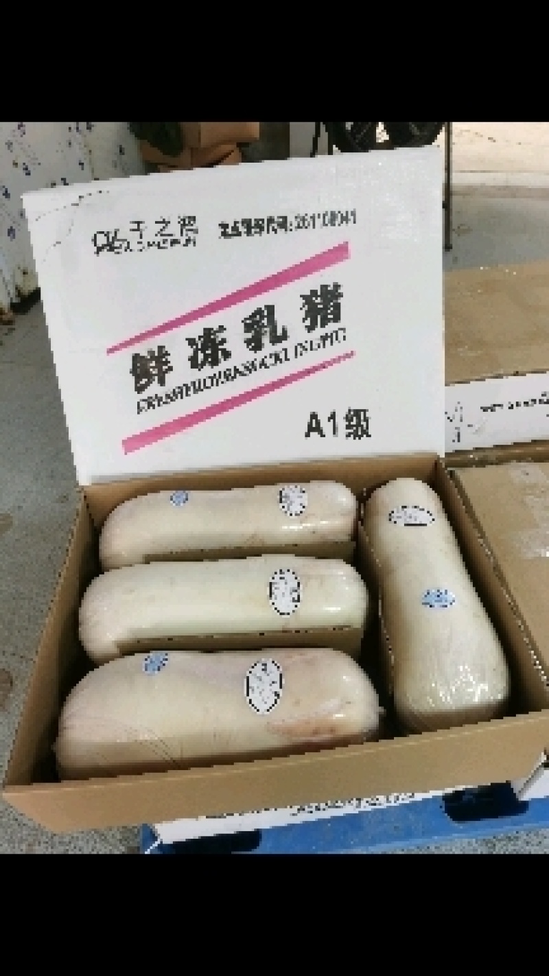 烤乳猪，鲜冻乳猪