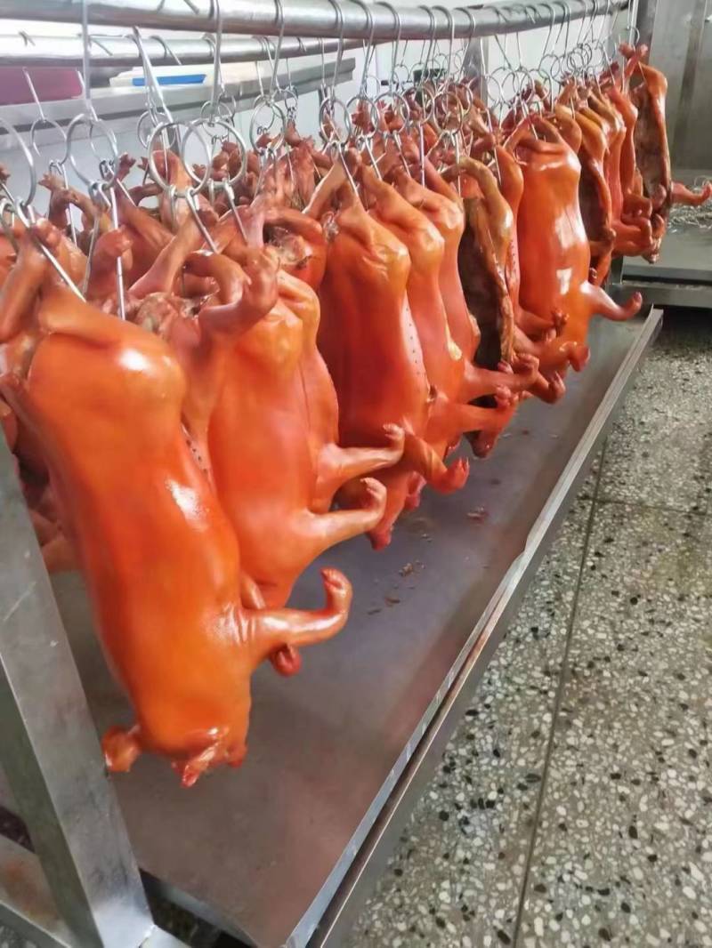 烤乳猪，鲜冻乳猪