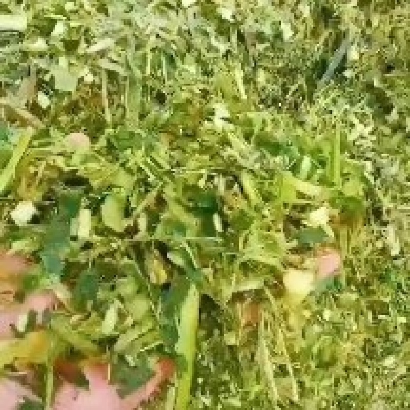 精品玉米秸秆草好价不高厂家直发