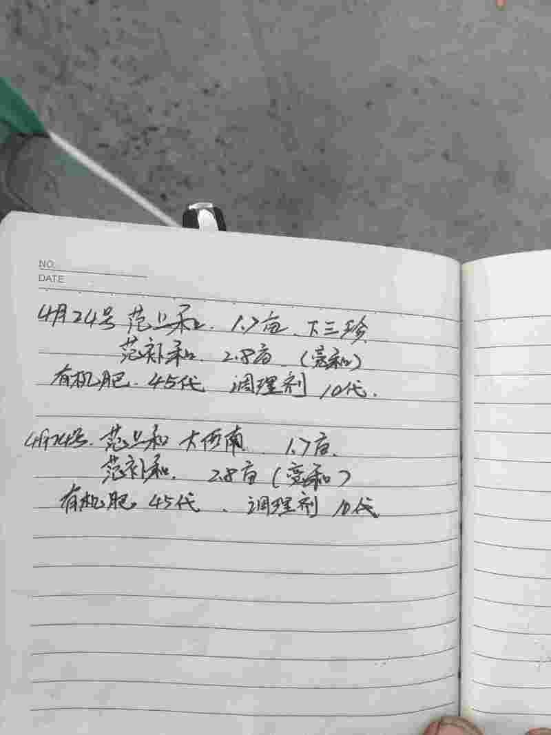 精品玉米秸秆草好价不高厂家直发