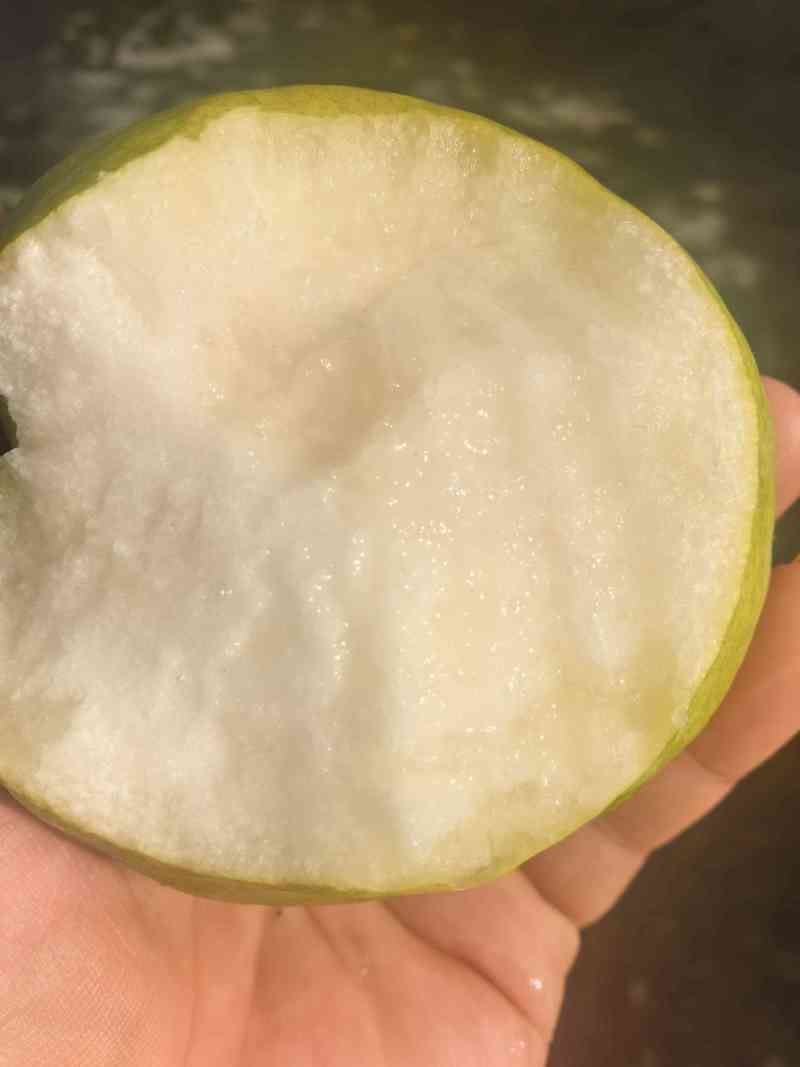 玉露香梨