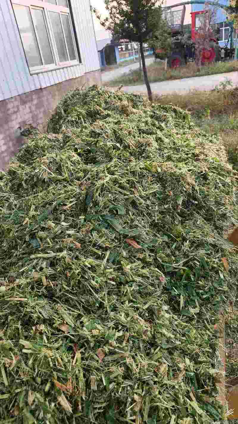打包青储牧草