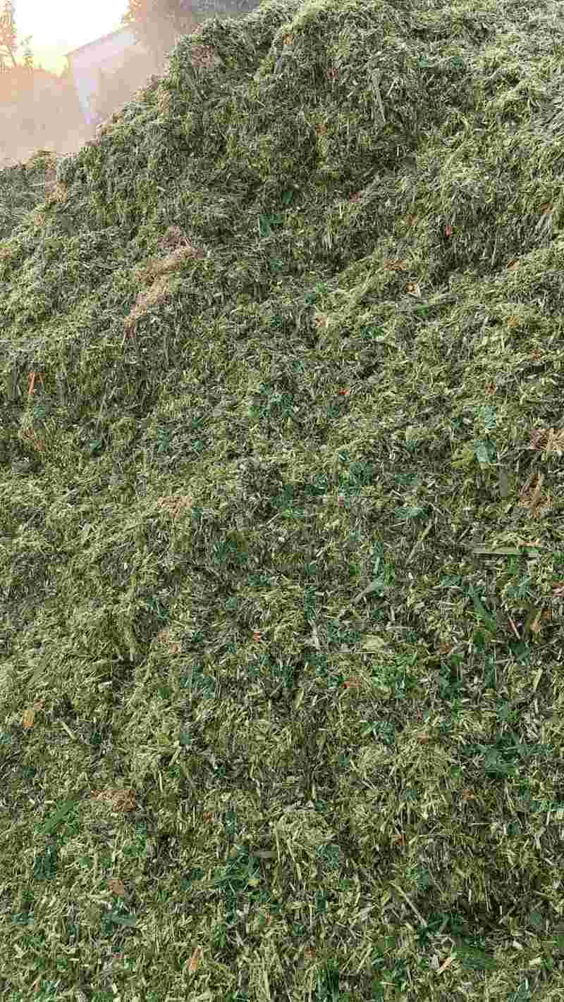 打包青储牧草
