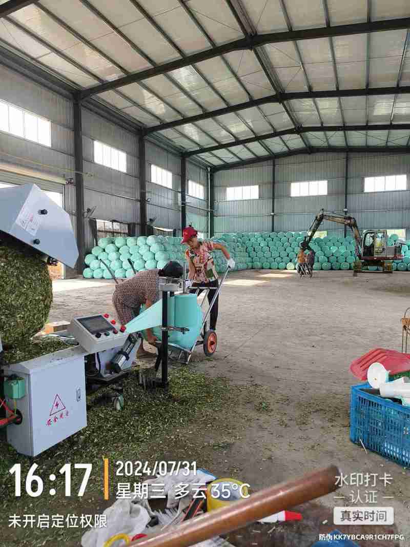 打包青储牧草