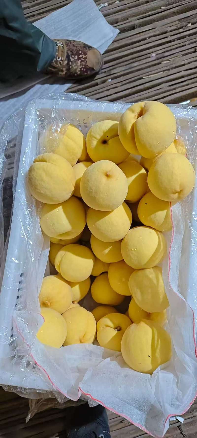 优质脆甜新世纪大黄毛桃