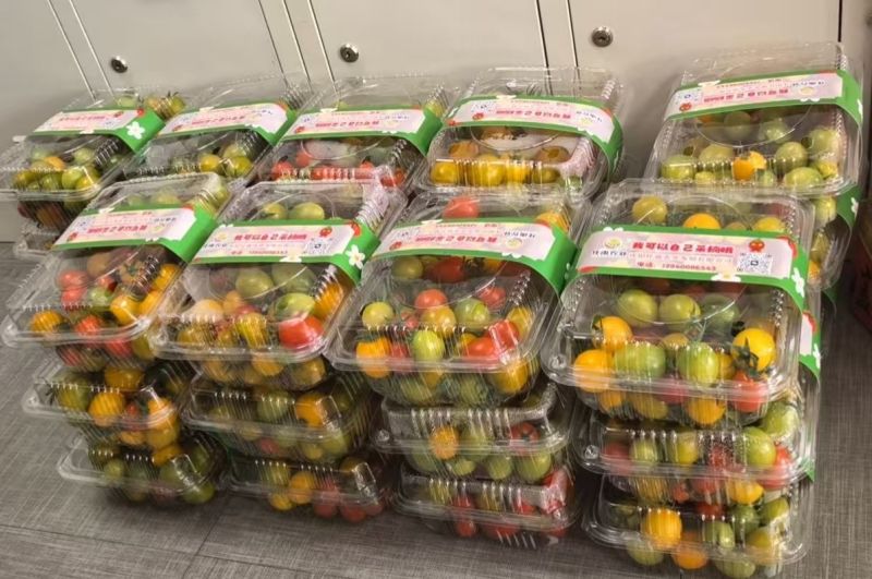 小番茄，糖珀虎小番茄、糖芯小番茄、金豆小番茄、真甜小番茄