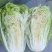 当地小义和秋白菜大量上市