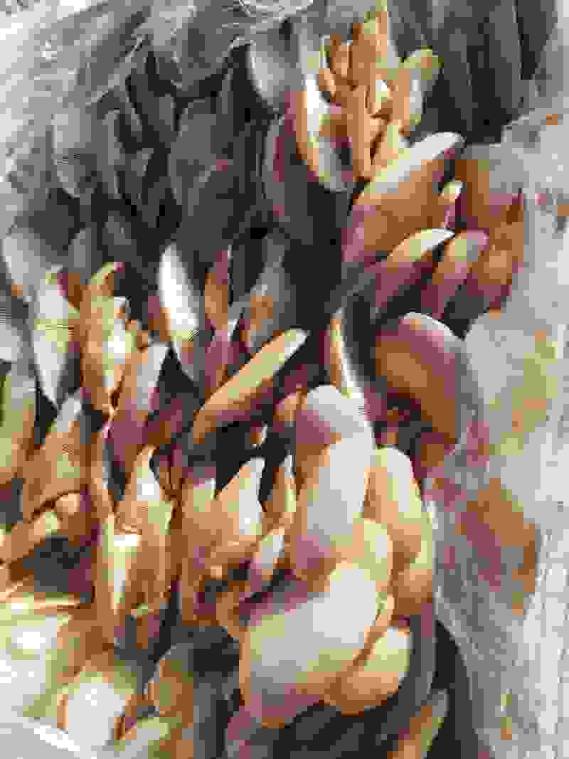 鲜平菇