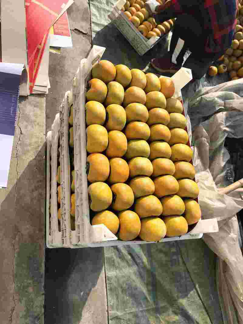 精品大奶油，大量供应