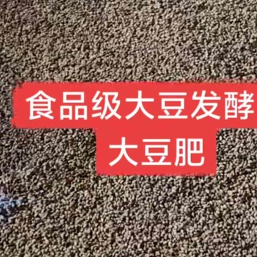 寿光发酵大豆肥，整粒发酵，厂家直发，肥力持久，改善土壤