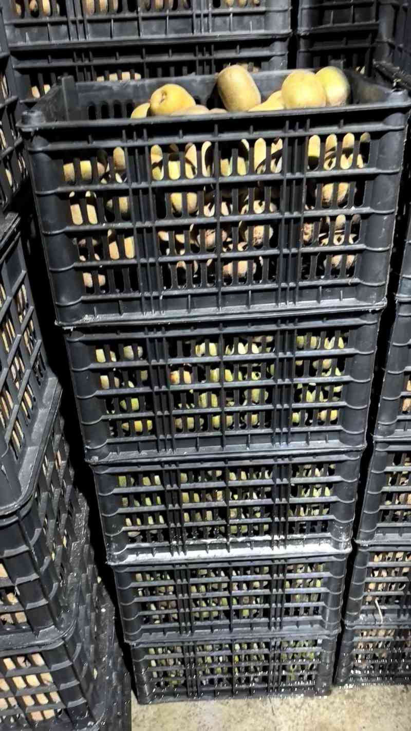 米猕猴桃
